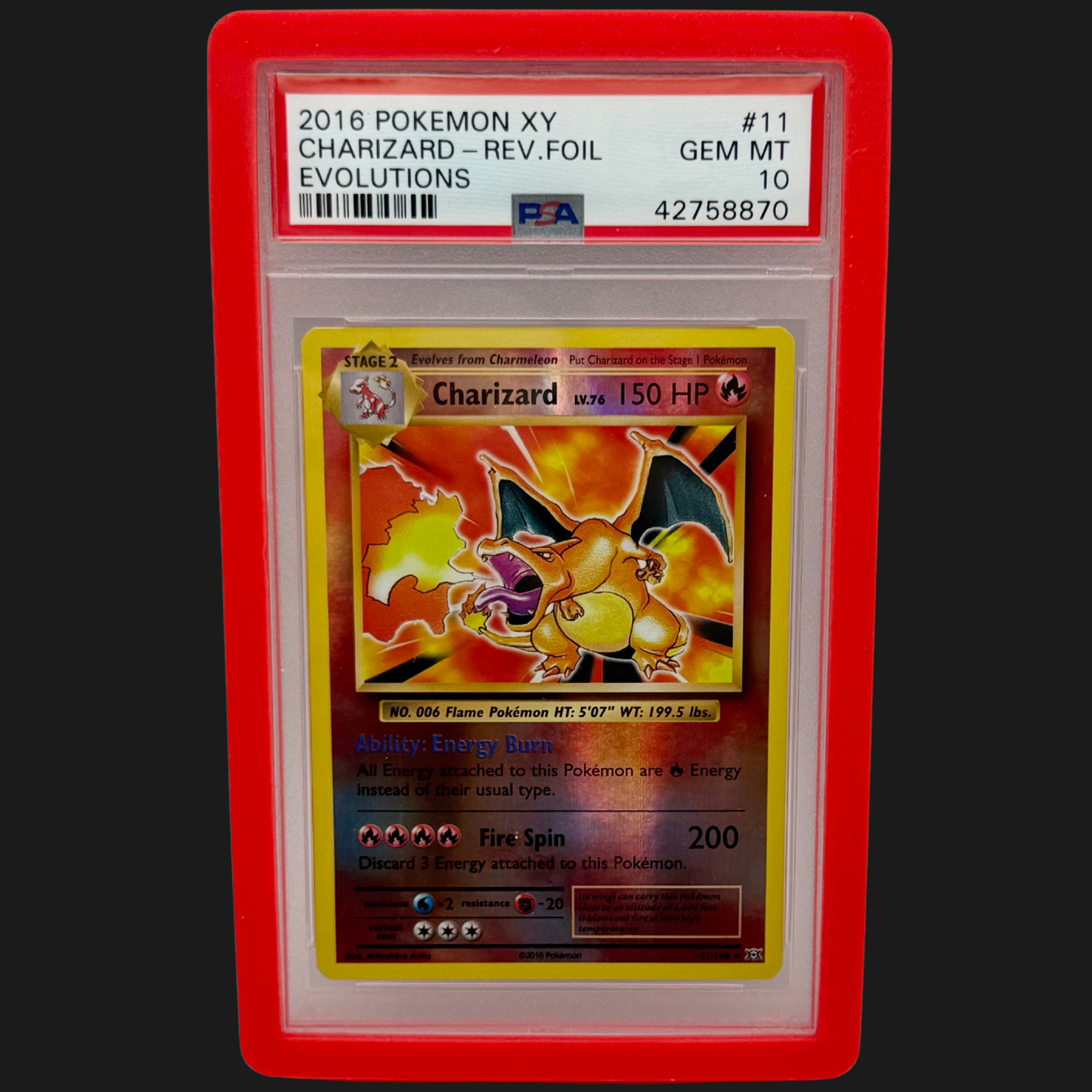 PSA Graded Card Protector