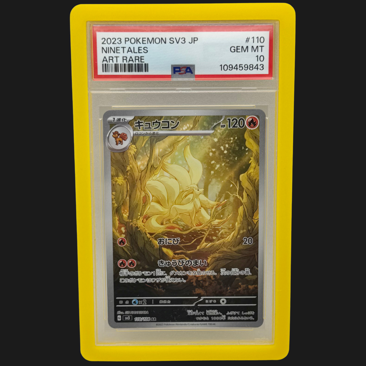 PSA Graded Card Protector
